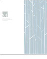 Montage Design