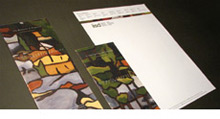 International Institute for Sustainable Development