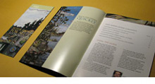 International Institute for Sustainable Development